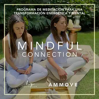MINDFUL Conecction