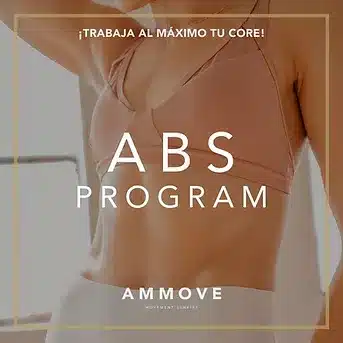 ABS Program